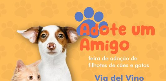 Bento Pet: feira de adoção ocorre no próximo sábado em Bento Gonçalves