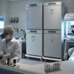 Imagem: Divulgação