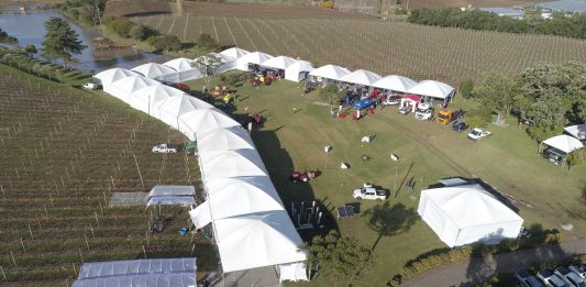Foto: Nova data da feira realizada pela Cooperativa Vinícola Aurora deverá ser anunciada nas próximas semanas/Crédito Cooperativa Vinícola Aurora, divulgação   