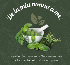 Projeto em Bento Gonçalves amplia conhecimentos populares das ervas aromáticas
