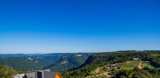 Foto: Olivas de Gramado recebe visitantes/Divulgação