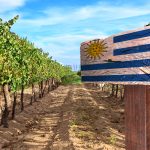 Foto: Reprodução site Vai pro Mundo/Divugação