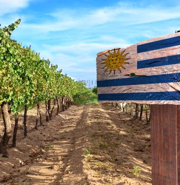Foto: Reprodução site Vai pro Mundo/Divugação