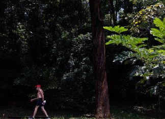 Foto: Danilo Verpa/Folhapress