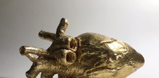 Foto: “O coração como objeto de criação ressignificado através de um atlas”, de Luíse Flôres Lorenz/Divulgação/Acervo Pessoal
