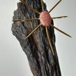 Foto: Cesar Cony/Divulgação 