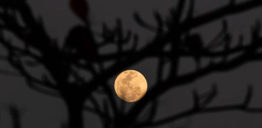 Superlua azul ocupará o céu a partir desta segunda-feira