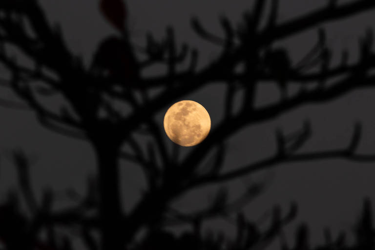 Superlua azul ocupará o céu a partir desta segunda-feira