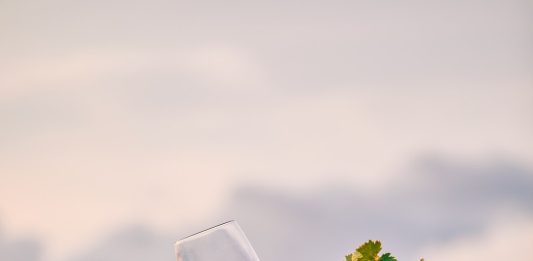 1º ENOMEETING: encontro internacional acontece no Vale dos Vinhedos
