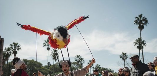 Foto: Zaze-zaze uma festa para Vavó/Crédito Fabio Zambom