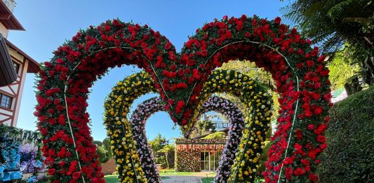 Foto: Hortensias Garden Gramado/Divulgação