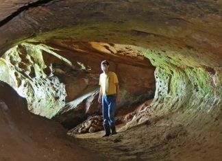 Entre 2008 e 2018, pesquisadores do projeto cadastraram mais de mil paleotocas no Brasil — Foto: PROJETO PALEOTOCAS/UFRGS via BBC