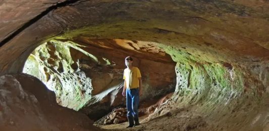 Entre 2008 e 2018, pesquisadores do projeto cadastraram mais de mil paleotocas no Brasil — Foto: PROJETO PALEOTOCAS/UFRGS via BBC