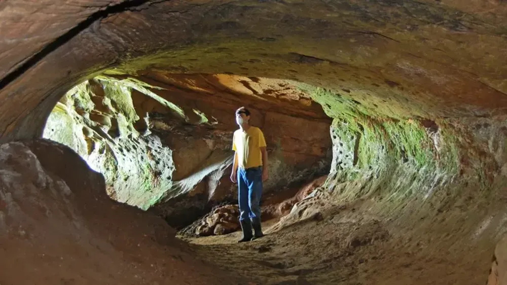 Entre 2008 e 2018, pesquisadores do projeto cadastraram mais de mil paleotocas no Brasil — Foto: PROJETO PALEOTOCAS/UFRGS via BBC