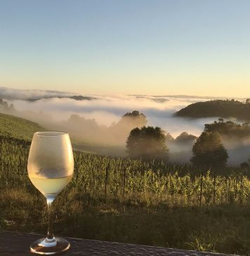 Foto: Vinícola Vita Eterna/Reprodução Trip Advisor/Divulgação