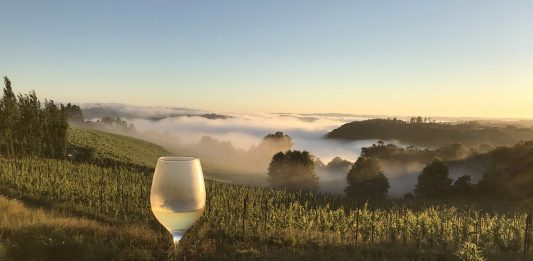 Foto: Vinícola Vita Eterna/Reprodução Trip Advisor/Divulgação