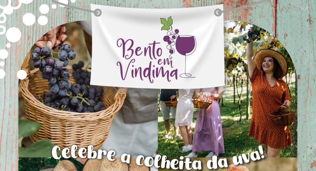 Bento em Vindima celebra a colheita da uva de janeiro a março de 2025