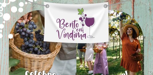 Bento em Vindima celebra a colheita da uva de janeiro a março de 2025