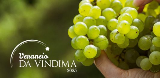 Veraneio da Vindima 2025 contará com programação especial de janeiro a março em Garibaldi