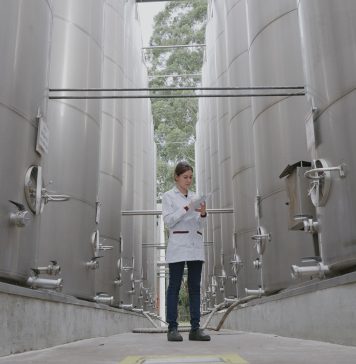 Foto: Em 2024, Aurora adquiriu 47 novos tanques de aço inox de 500 mil litros para vinhos e sucos de uva/Crédito  Anderson Pagani