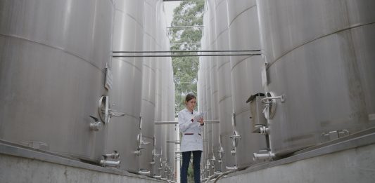 Foto: Em 2024, Aurora adquiriu 47 novos tanques de aço inox de 500 mil litros para vinhos e sucos de uva/Crédito  Anderson Pagani