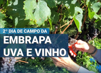 Tecnologia e sustentabilidade no 2º Dia de Campo da Embrapa Uva e Vinho em Bento Gonçalves