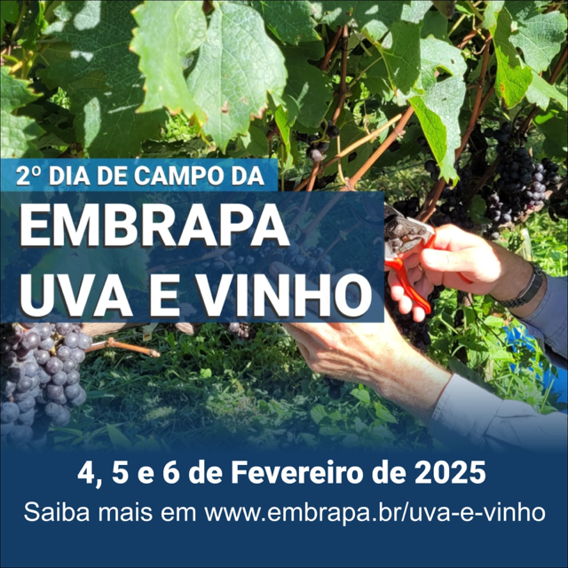 Tecnologia e sustentabilidade no 2º Dia de Campo da Embrapa Uva e Vinho em Bento Gonçalves