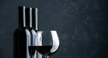 Vinhos e espumantes brasileiros conquistam 33 premiações no Vinalies