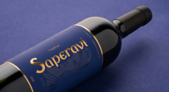Cooperativa Vinícola Aurora participa da Wine South America com lançamento exclusivo em Bento Gonçalves