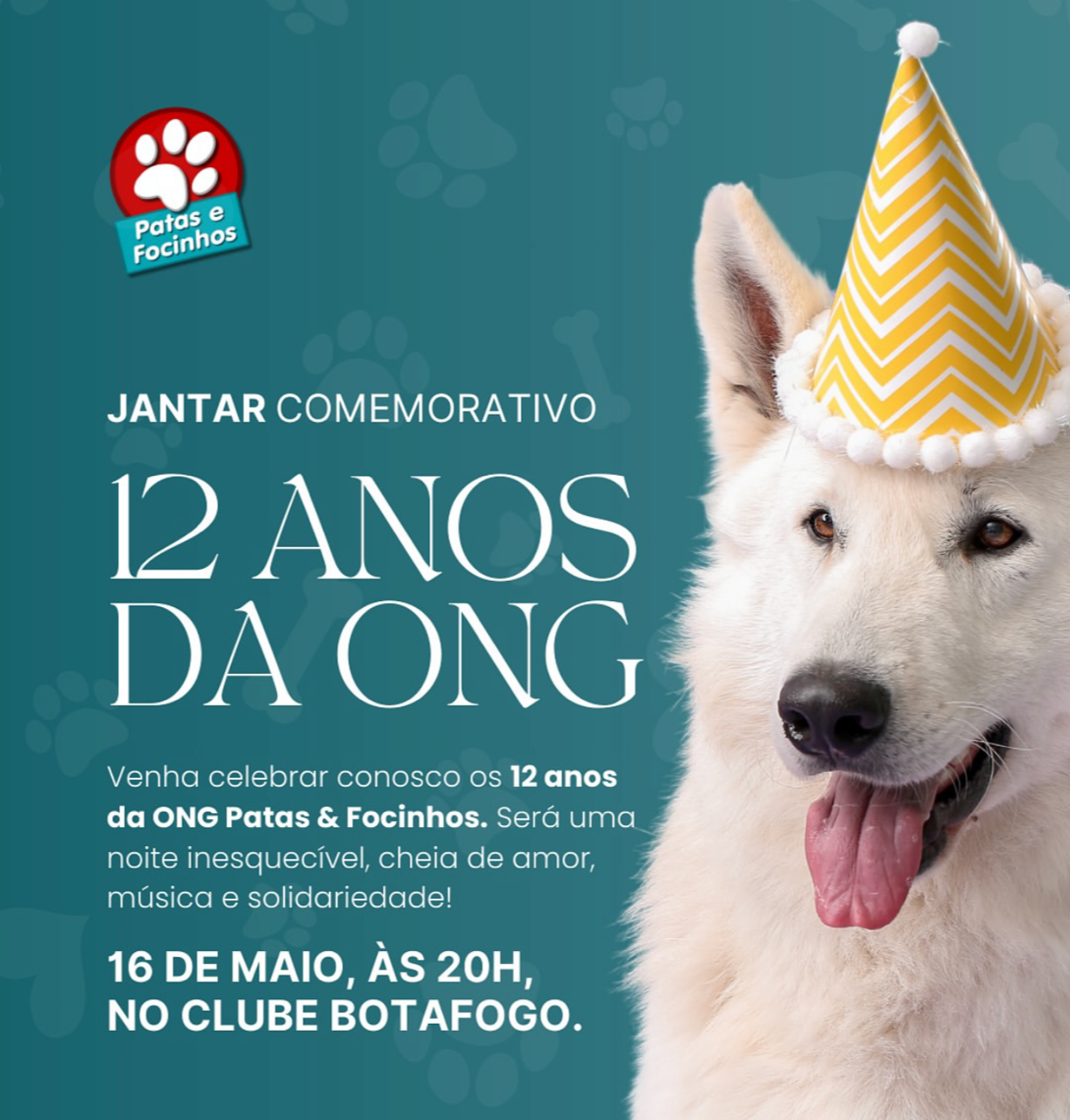 “Patas e Focinhos” celebra 12 anos de dedicação à causa animal em Bento Gonçalves em evento beneficente