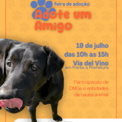 Feira de adoção de animais ocorre no sábado em Bento Gonçalves