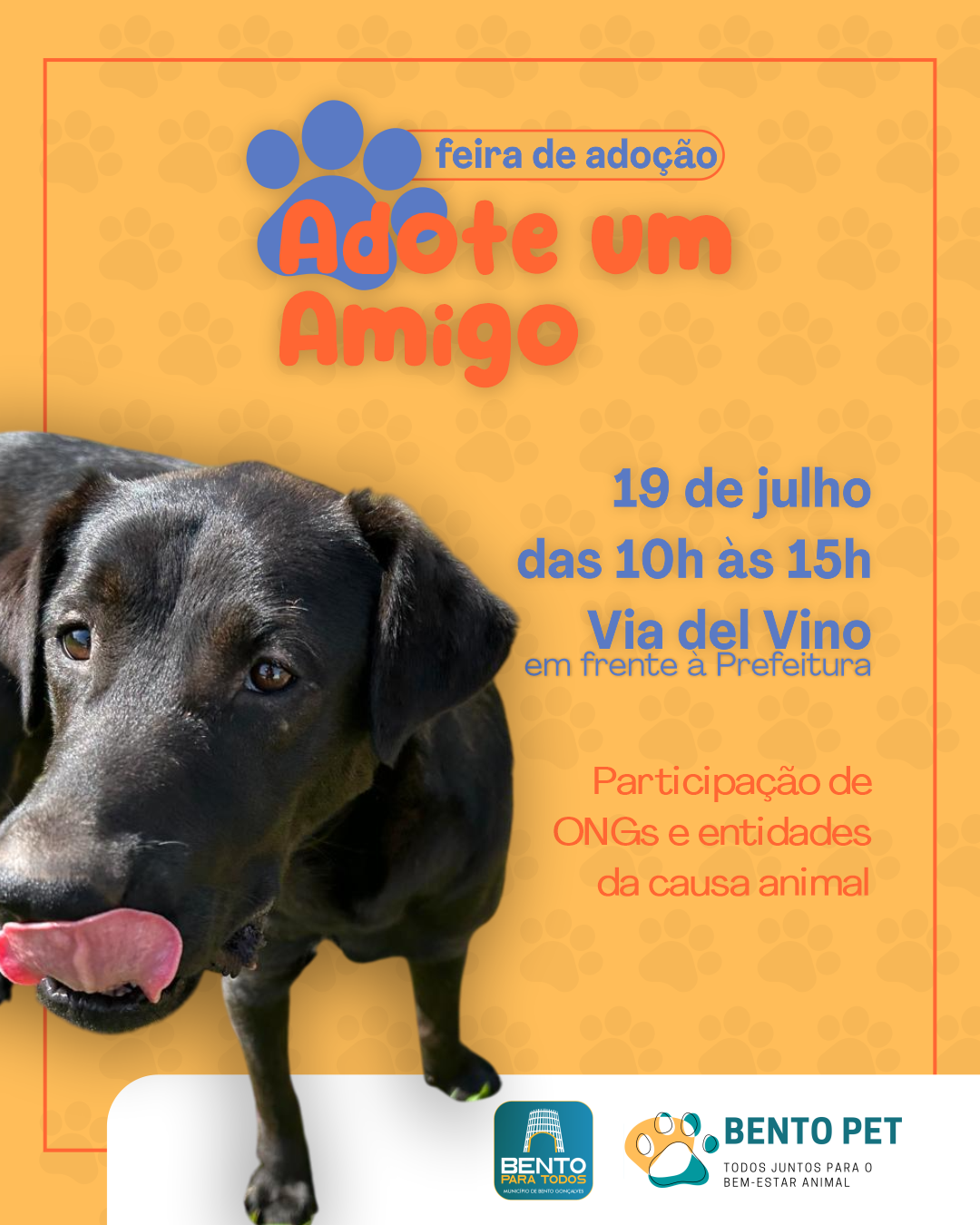 Feira de adoção de animais ocorre no sábado em Bento Gonçalves