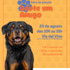 Feira de adoção de animais ocorre no sábado (23) em Bento Gonçalves