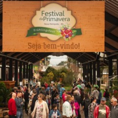 Foto: Reprodução Site Prefeitura de Nova Petrópolis