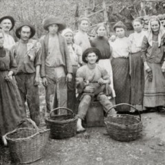 Foto: Vindima 1911/Autoria Primo Postali/Acervo AHMJSA