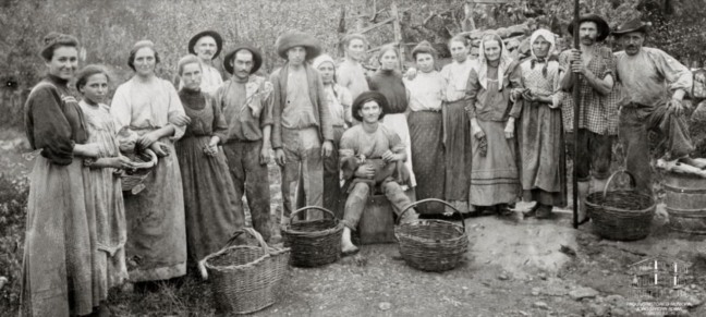 Foto: Vindima 1911/Autoria Primo Postali/Acervo AHMJSA