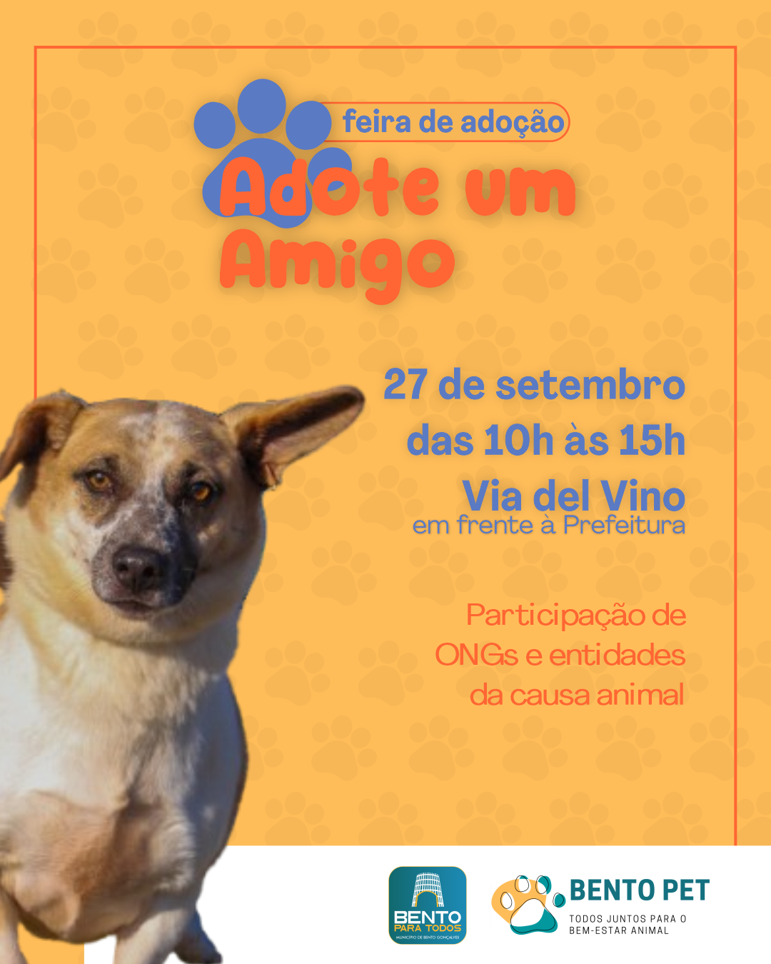 Via Del Vino de Bento Gonçalves recebe a Feira de Adoção "Adote um Amigo" Via Del Vino de Bento Gonçalves recebe a Feira de Adoção "Adote um Amigo"
