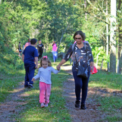 Foto: Divulgação/Crédito  Francis Jonas Limberger