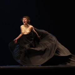 Foto: PINEAL/Crédito Ballet em Foco/Divulgação