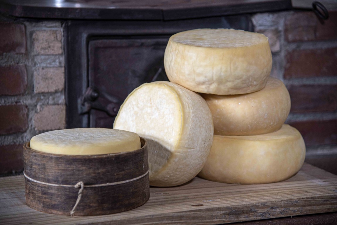 Foto: Queijo Colonial/Crédito Fernando Dias/Ascom Seapi Foto: Queijo Colonial/Crédito Fernando Dias/Ascom Seapi