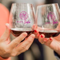 Foto: Vieni Vivere La Vita Festival consolida sucesso em Monte Belo do Sul/Crédito Cesar Silvestro