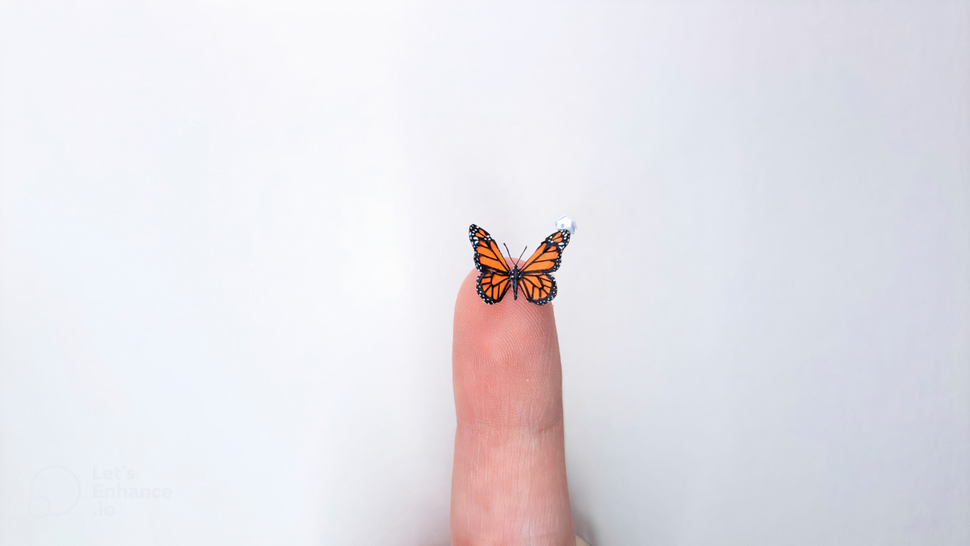 Foto: Exposição Éden, Natália Aia/Divulgação Foto: Exposição Éden, Natália Aia/Divulgação