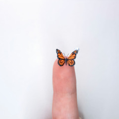 Foto: Exposição Éden, Natália Aia/Divulgação