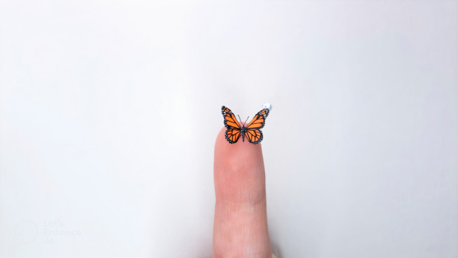 Foto: Exposição Éden, Natália Aia/Divulgação