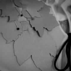 Foto: Prova dos vestidos/Crédito Regina Lain