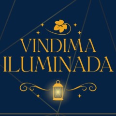 Vale dos Vinhedos se ilumina para receber a vindima