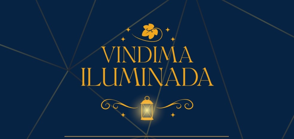 Vale dos Vinhedos se ilumina para receber a vindima