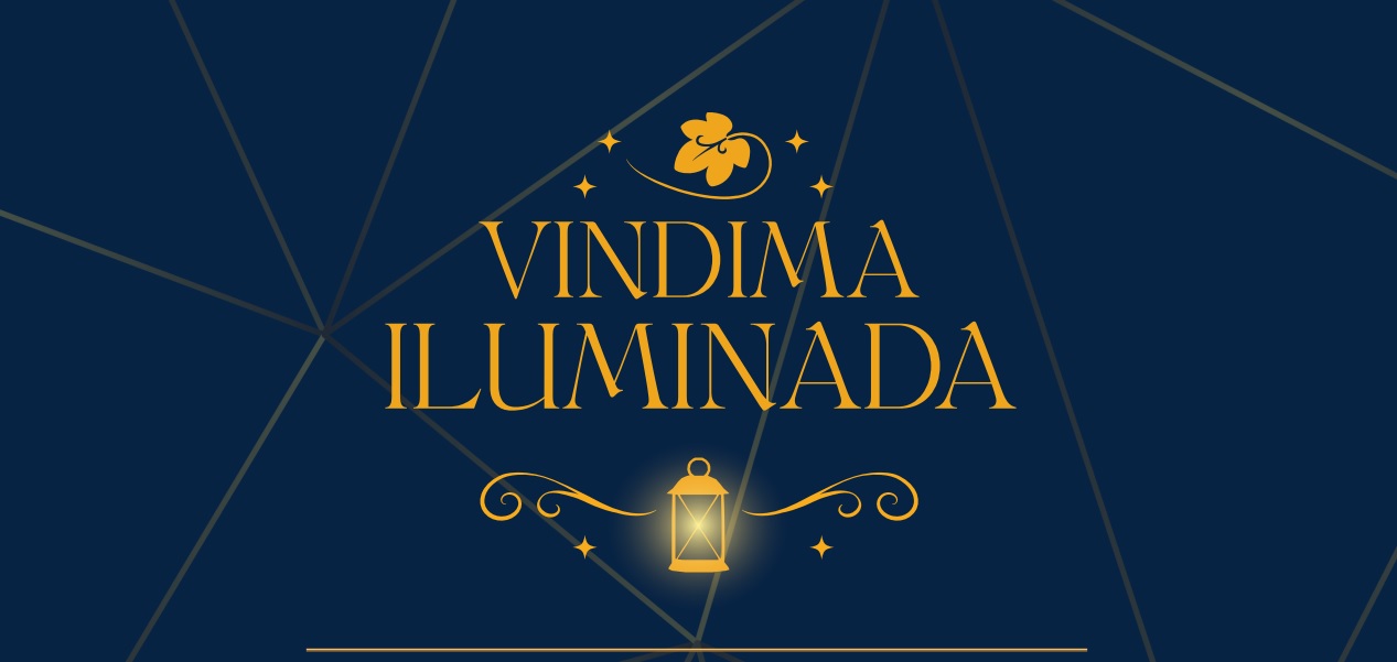 Vale dos Vinhedos se ilumina para receber a vindima