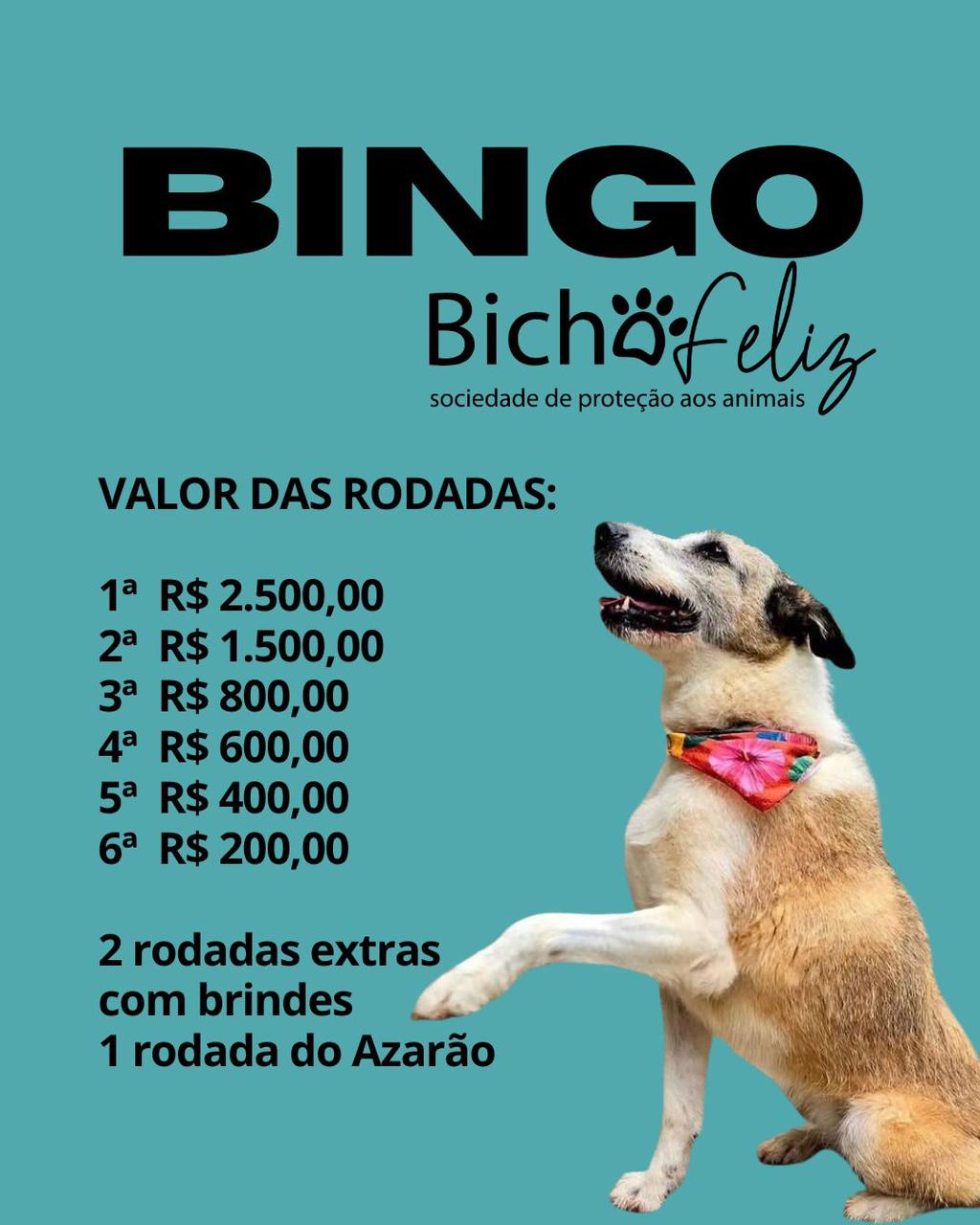 SPA Bicho Feliz realiza bingo beneficente neste sábado (15)