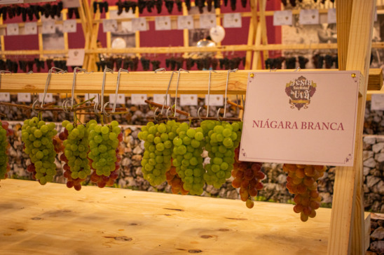 Foto: Divulgação/Crédito Regina Lain